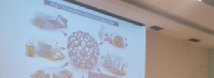 Popularnonaukowy wykład o nanotechnologii na Wydziale Fizyki i Astronomii