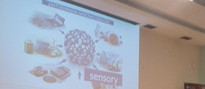 Nanomaterials in Focus: Guest Lecture at the University of Wrocław