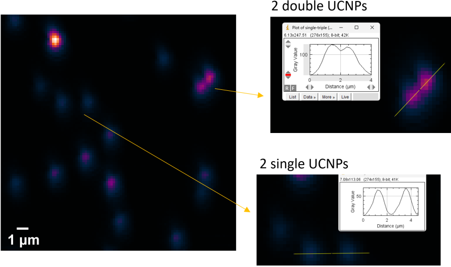 Single particle FRET