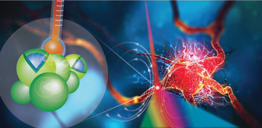 Nanoparticles-based 2D thermal bioimaging technologies (EU FET OPEN)
