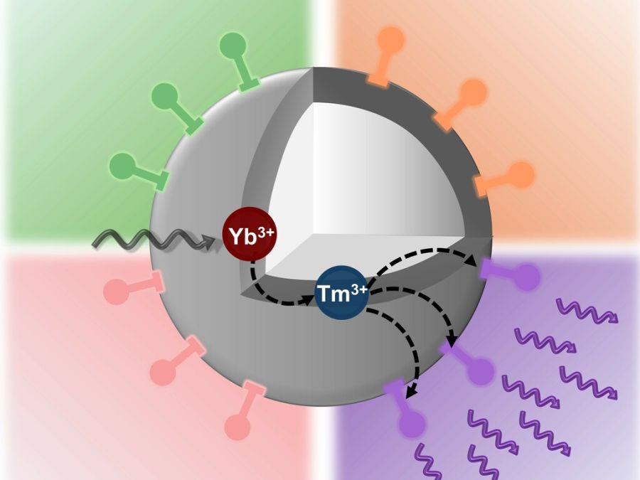 Our paper has been published in ACS Nano!